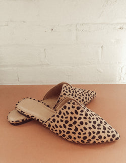 Cheetah Slides