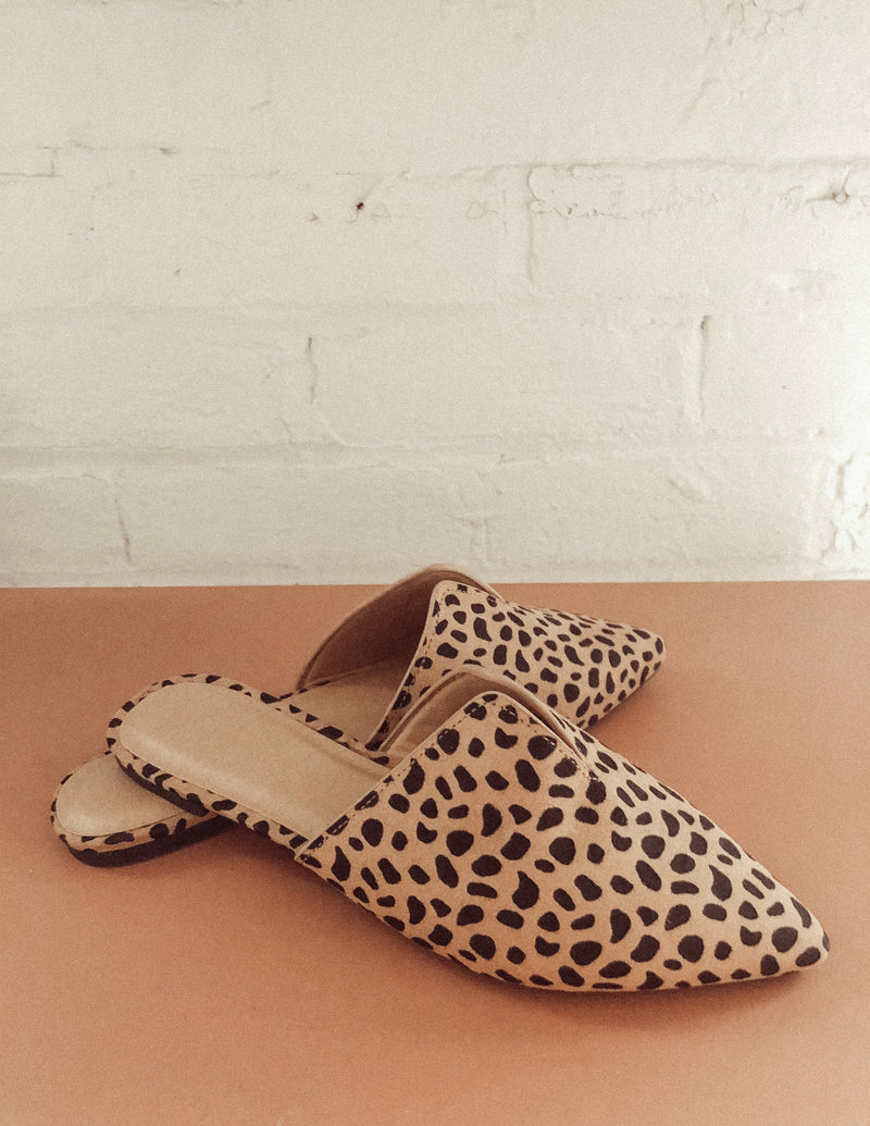 Cheetah Slides